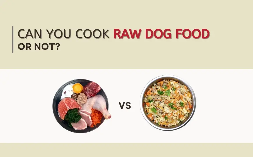 Can You Cook Raw Dog Food: Pro & Cons, Cause & Substitutes